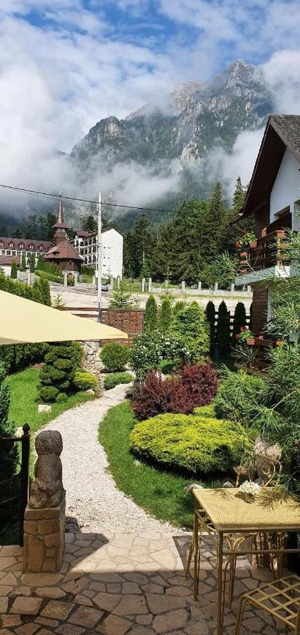 Гостевой дом Villa Ermitage Буштени-5