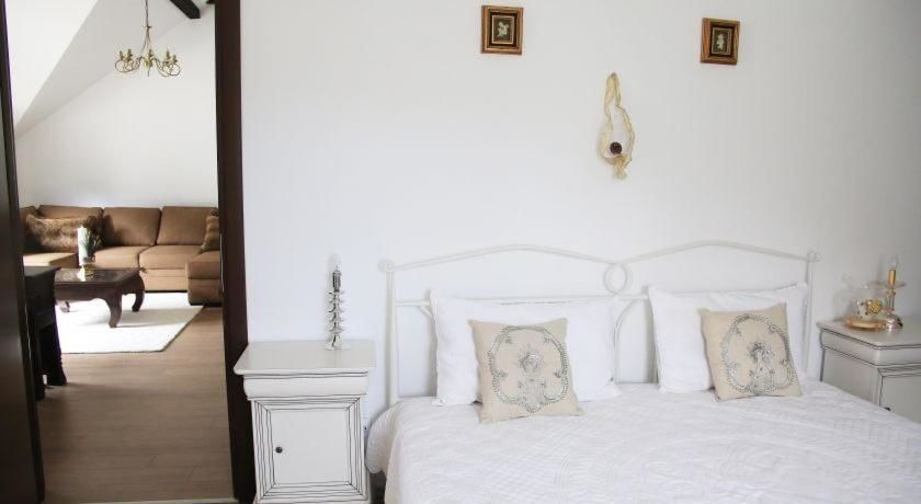 Гостевой дом Villa Ermitage Буштени