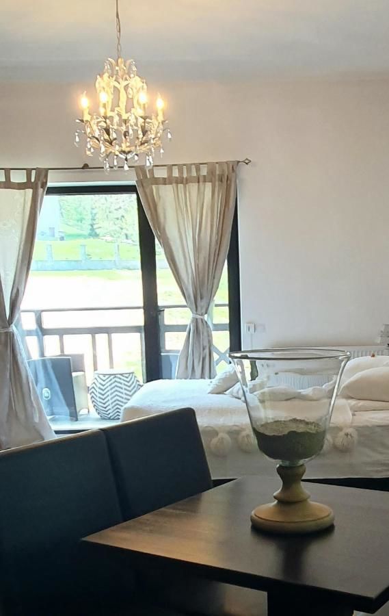Гостевой дом Villa Ermitage Буштени