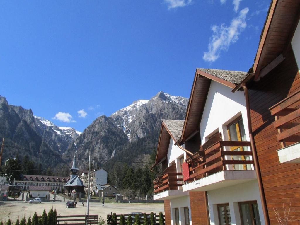 Гостевой дом Villa Ermitage Буштени